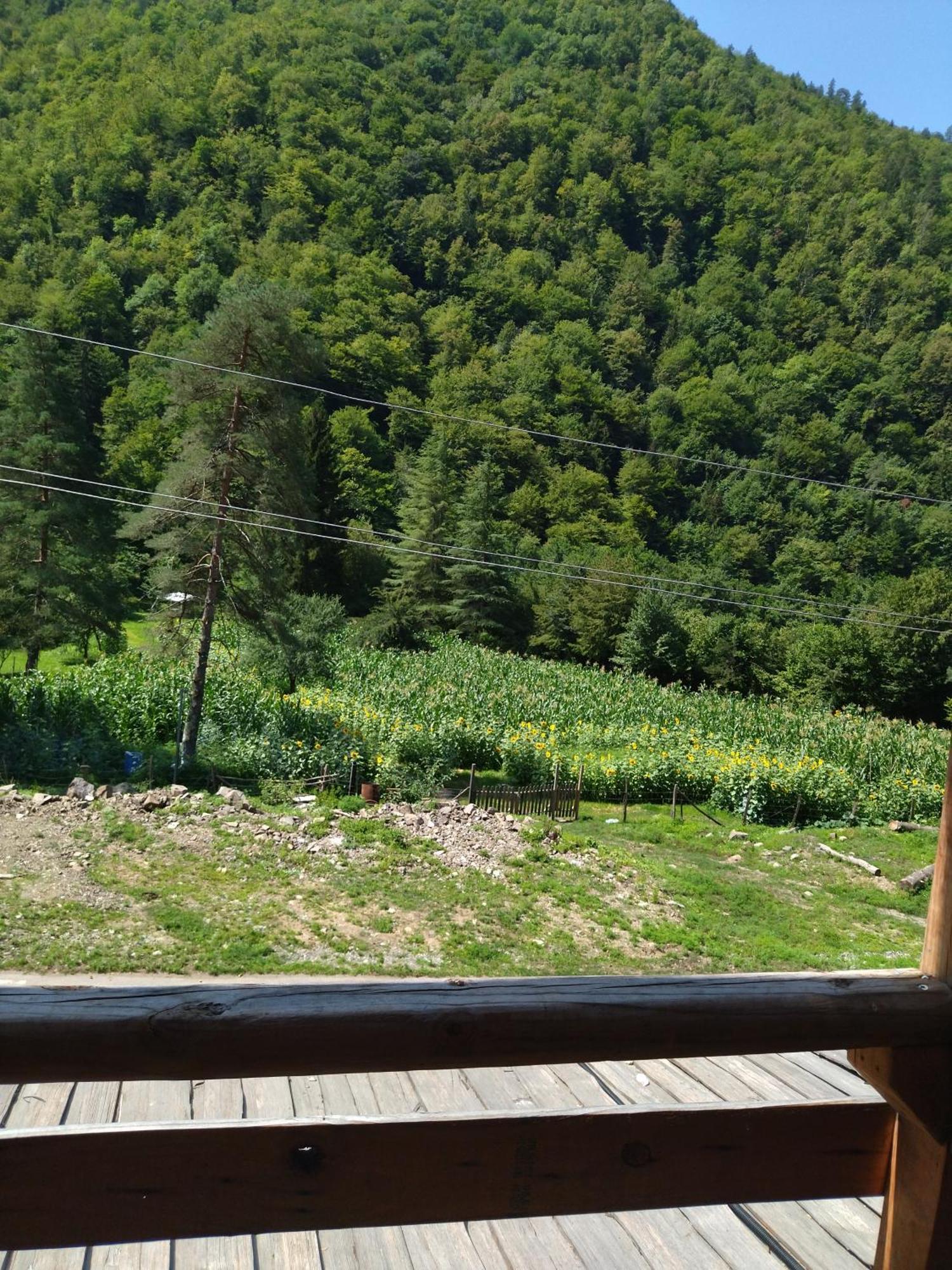 Hotel Alismereti Zekari Екстер'єр фото