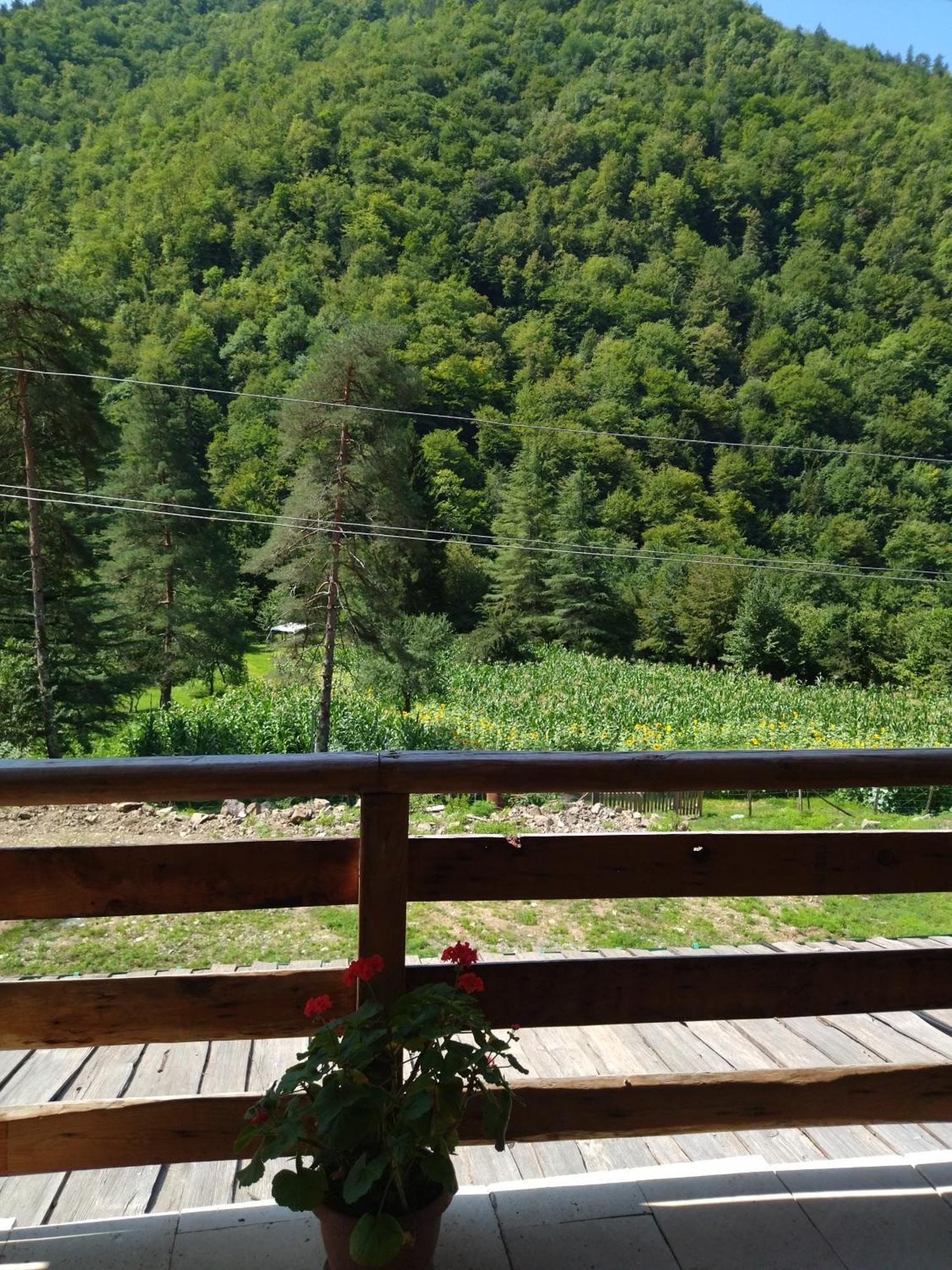 Hotel Alismereti Zekari Екстер'єр фото
